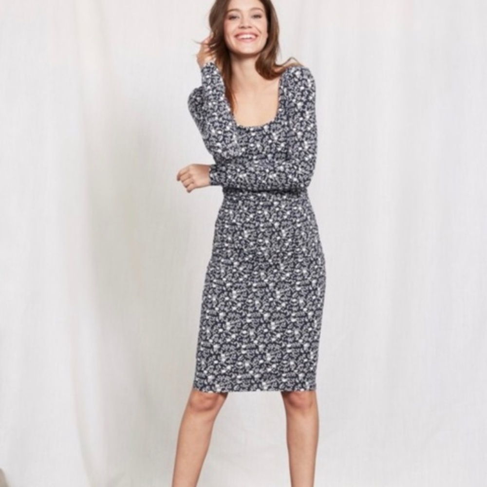Boden Ballet Dress